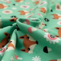 Vorschau: JB3883-537 Vorschau: JB3883-537