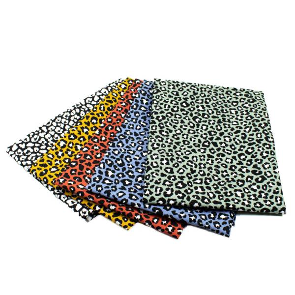 ZZ2000-004