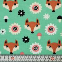 Vorschau: JB3883-537 Vorschau: JB3883-537