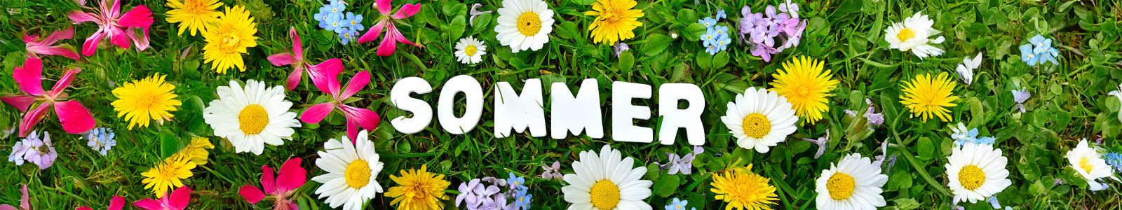 Sommerstoffe