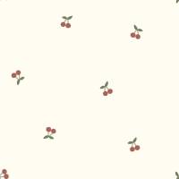 JB4293-504