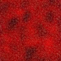 BW2429-719