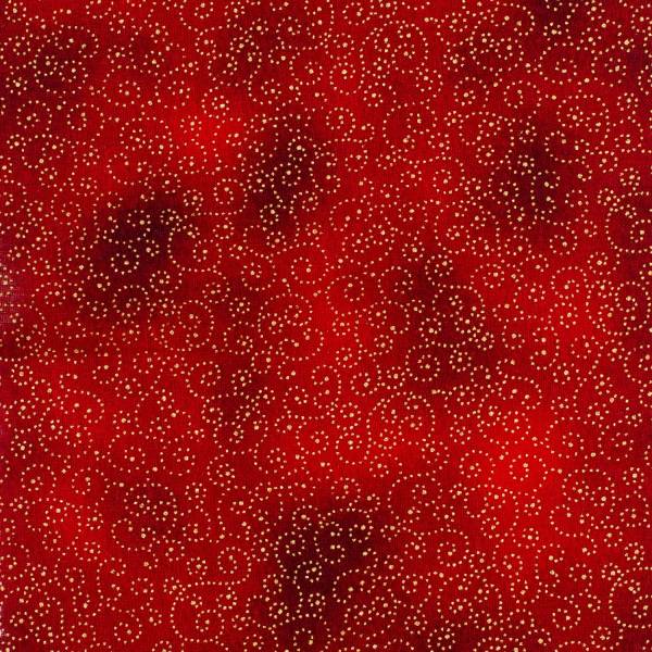 BW2429-719
