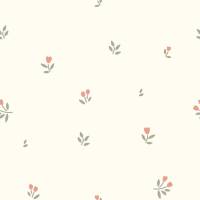 STR0064-504