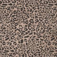 CO1068-505