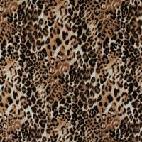 VI1376-507 VI1376-507