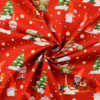 Vorschau: BW1395-519 Vorschau: BW1395-519