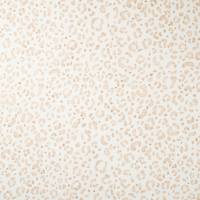 JB4300-504
