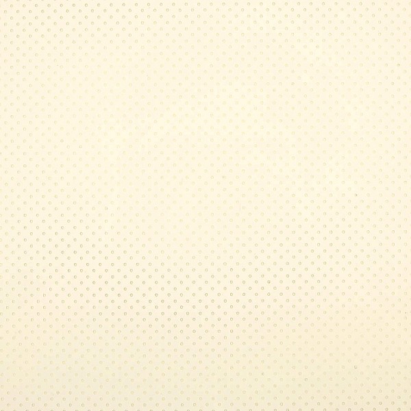 ZU1161_503_plotterfolie_A4_perforiert_weiss