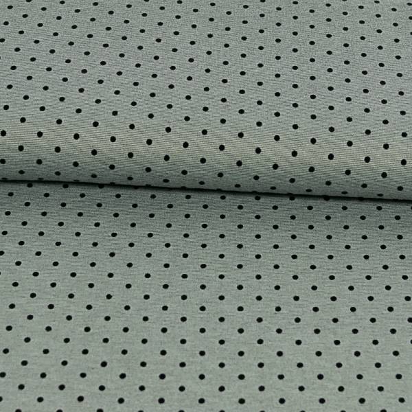 HS1029-302