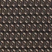 HS2198-506