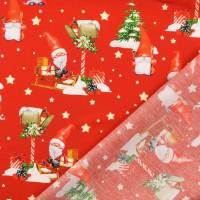 Vorschau: BW1395-519 Vorschau: BW1395-519