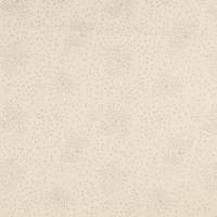 BW1391-504