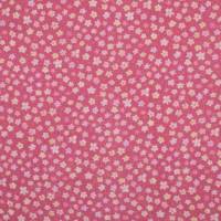 REBW0033