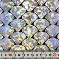 Vorschau: FJ1009-200 Vorschau: FJ1009-200