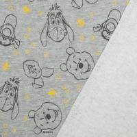 Vorschau: FT1425-302 Vorschau: FT1425-302