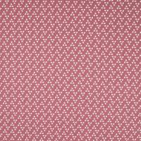 BW1836-516